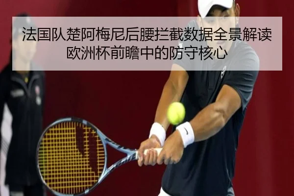 法国队楚阿梅尼后腰拦截数据全景解读欧洲杯前瞻中的防守核心